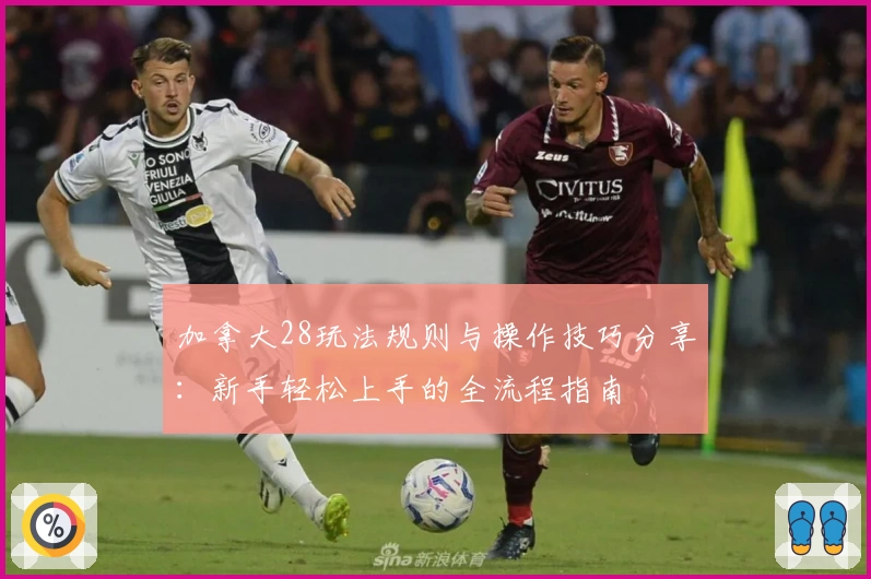 加拿大28玩法规则与操作技巧分享：新手轻松上手的全流程指南