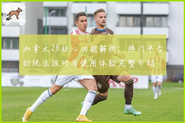 加拿大28核心功能解析：热门平台的玩法技巧与使用体验完整介绍