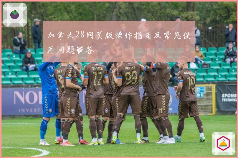 加拿大28网页版操作指南及常见使用问题解答