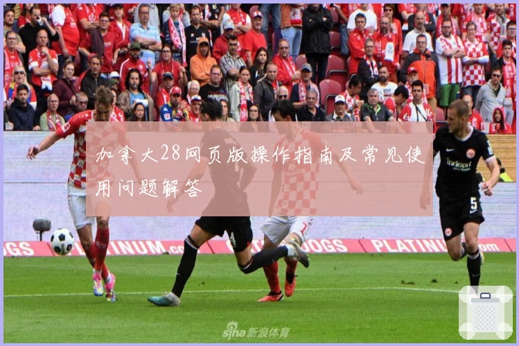 加拿大28网页版操作指南及常见使用问题解答