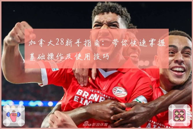 加拿大28新手指南：带你快速掌握基础操作及使用技巧