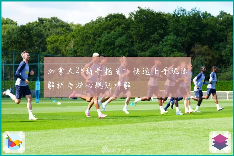 加拿大28新手指南:快速上手玩法解析与核心规则详解