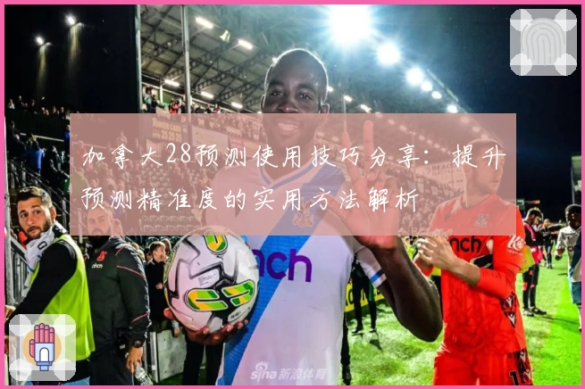 加拿大28预测使用技巧分享：提升预测精准度的实用方法解析
