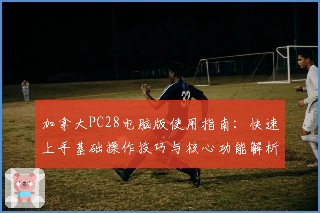 加拿大PC28电脑版使用指南：快速上手基础操作技巧与核心功能解析