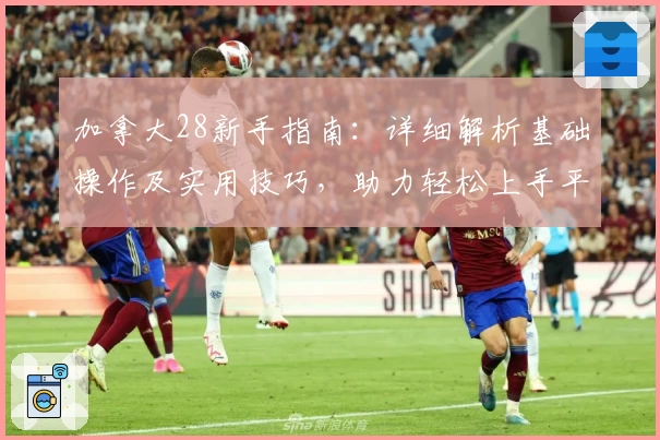 加拿大28新手指南：详细解析基础操作及实用技巧，助力轻松上手平台