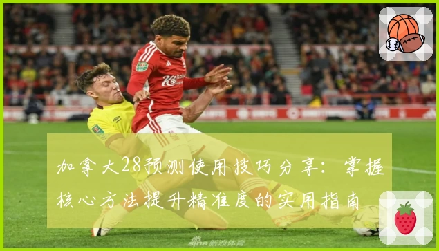 加拿大28预测使用技巧分享：掌握核心方法提升精准度的实用指南