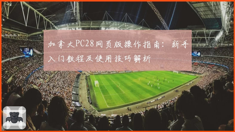 加拿大PC28网页版操作指南：新手入门教程及使用技巧解析