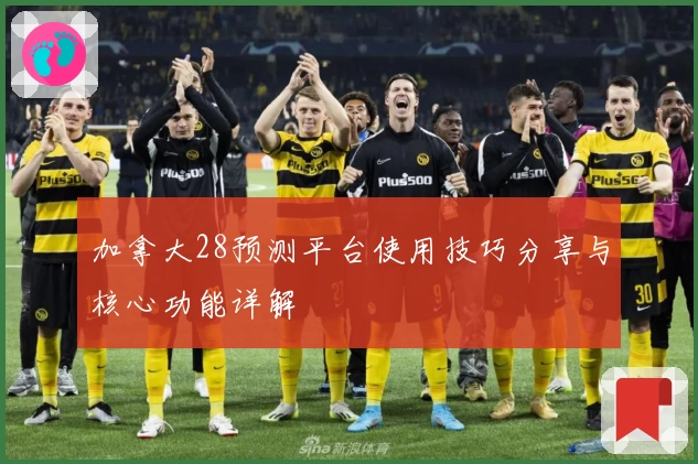 加拿大28预测平台使用技巧分享与核心功能详解