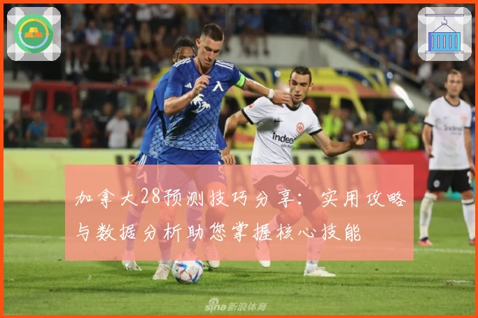 加拿大28预测技巧分享：实用攻略与数据分析助您掌握核心技能