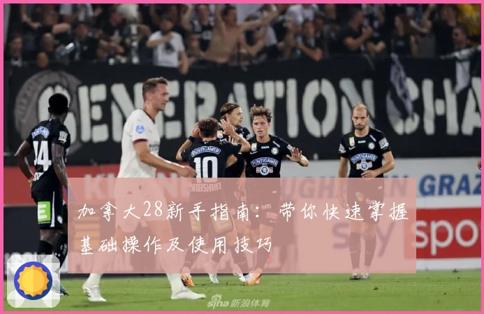 加拿大28新手指南：带你快速掌握基础操作及使用技巧