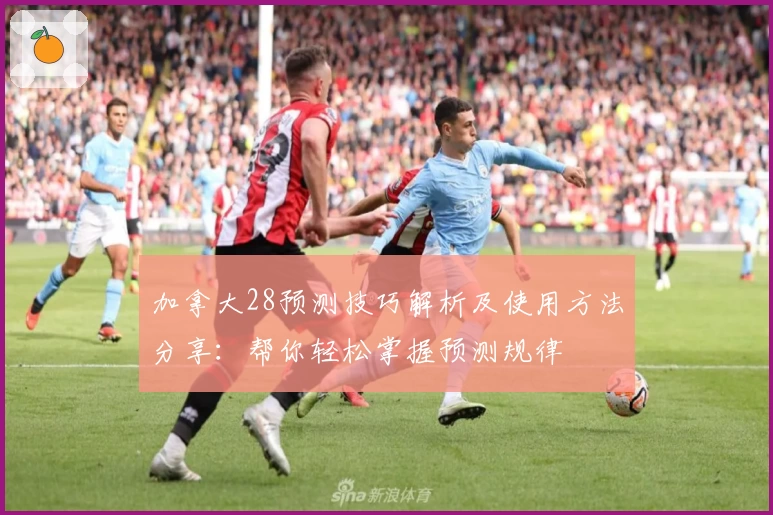 加拿大28预测技巧解析及使用方法分享：帮你轻松掌握预测规律