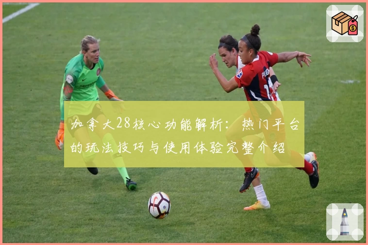 加拿大28核心功能解析：热门平台的玩法技巧与使用体验完整介绍